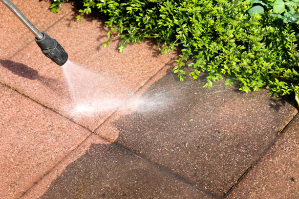 Best Pressure Washing Near Me  in White Castle, LA